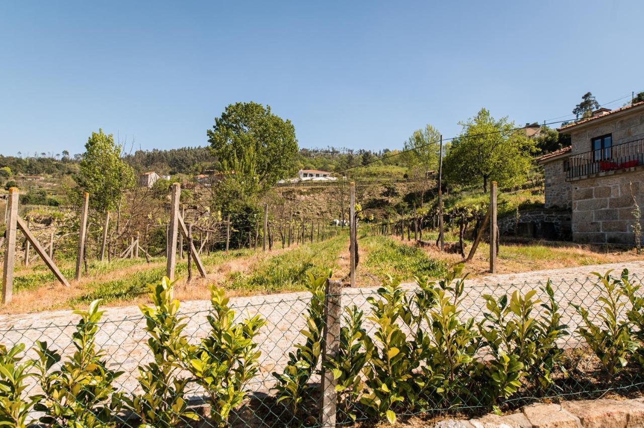 Partezins I Villa Castelo de Paiva Dış mekan fotoğraf